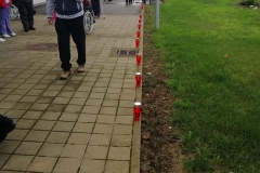 125960659_844749209669064_7444512092466212833_n