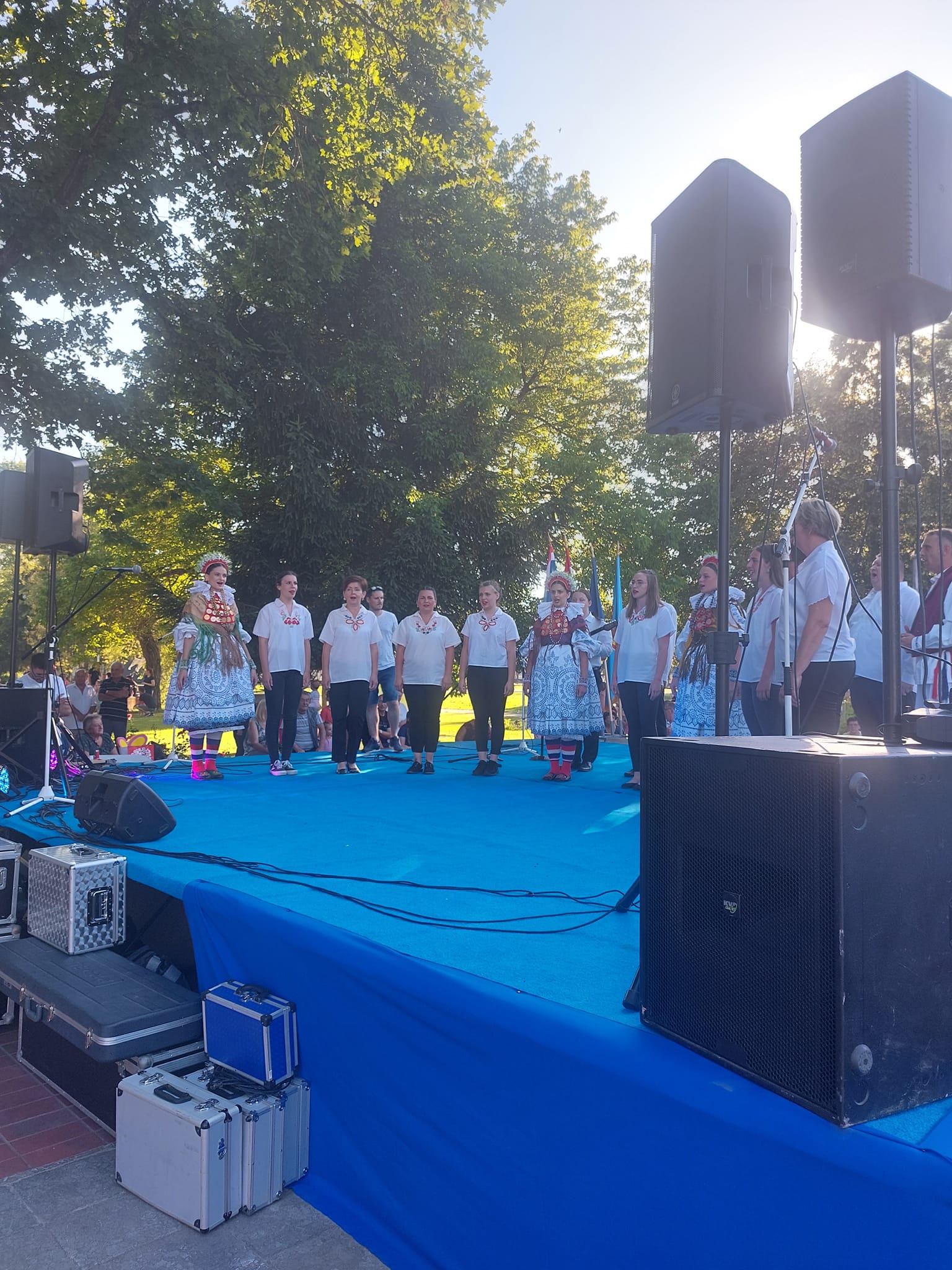 Dan Općine Topusko i blagdan sv. Vida