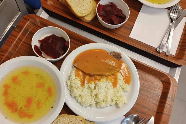 PRIPREMA I DOSTAVA TOPLIH OBROKA