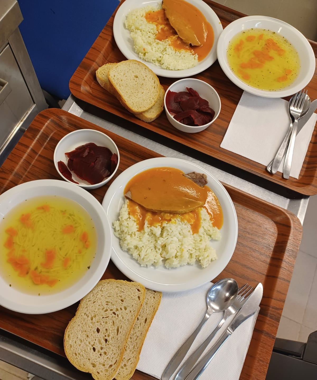 PRIPREMA I DOSTAVA TOPLIH OBROKA