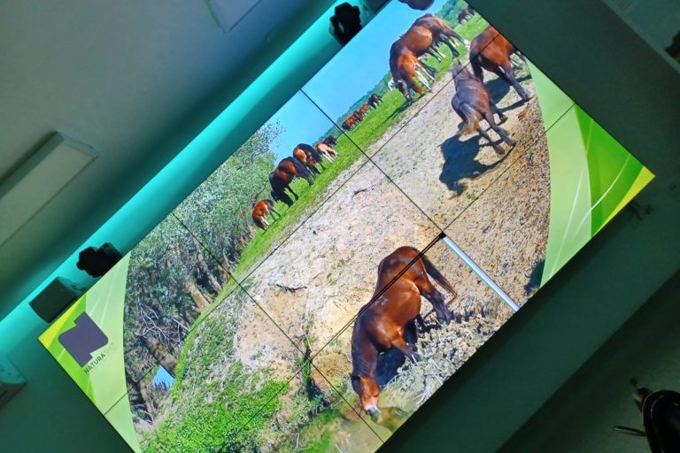 Korisnici Doma posjetili Naturu SMZ