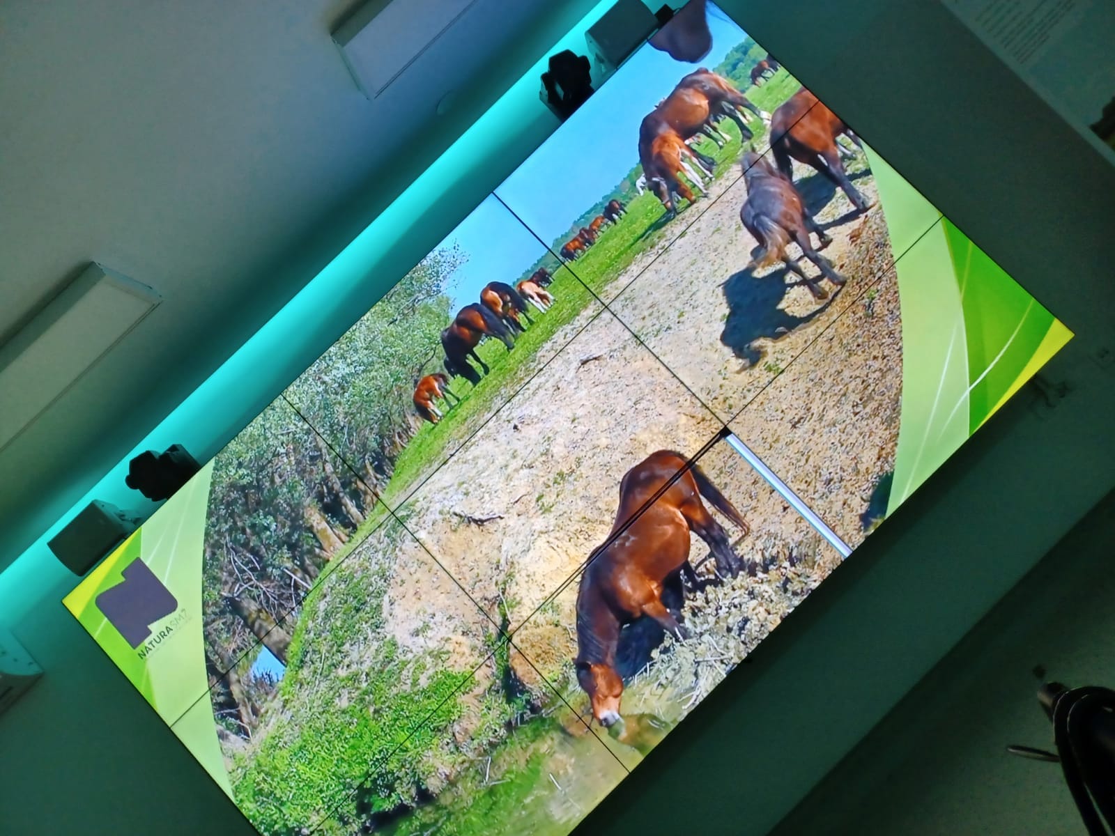 Korisnici Doma posjetili Naturu SMZ