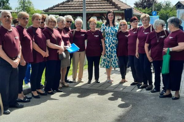 DAN OTVORENIH VRATA DOMA