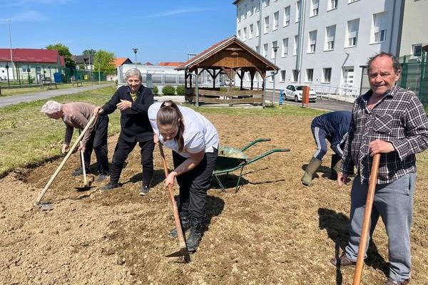 ZAŠTO BAŠ SVAKI DOM MORA IMATI SVOJ VRT?