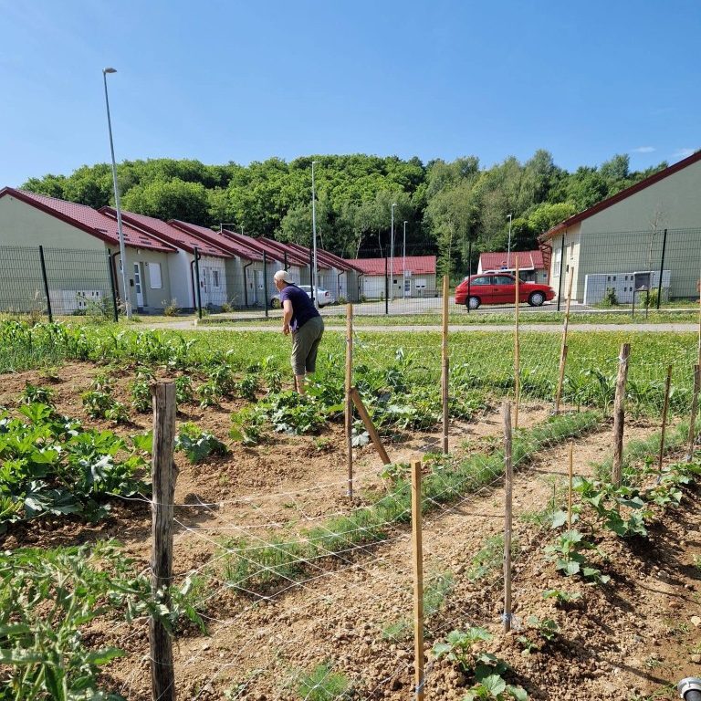 HORTIKULTURA