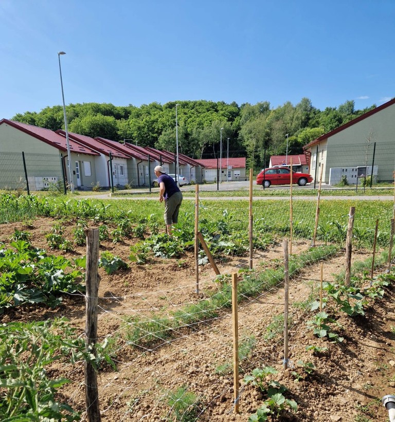 HORTIKULTURA